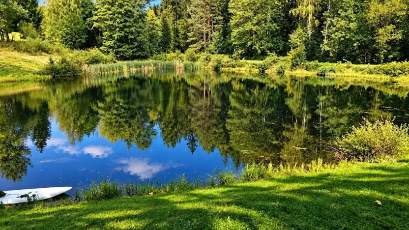 Prodej chalupy, Benešov nad Černou, 151 m2