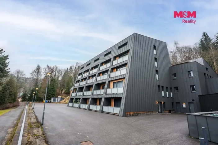 Pronájem bytu 1+kk, Janov nad Nisou, 25 m2