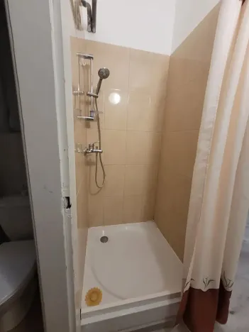 Pronájem bytu 1+1, Brno, Palackého třída, 43 m2