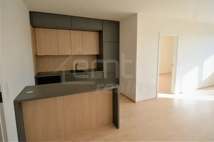 Pronájem bytu 2+kk, Praha, Davídkova, 60 m2
