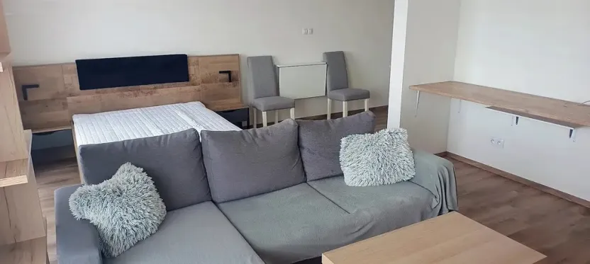 Pronájem bytu 1+kk, Plzeň, Pecháčkova, 42 m2