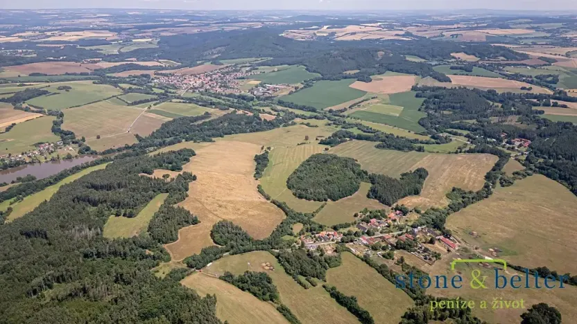 Prodej lesa, Zvěstov, 45954 m2