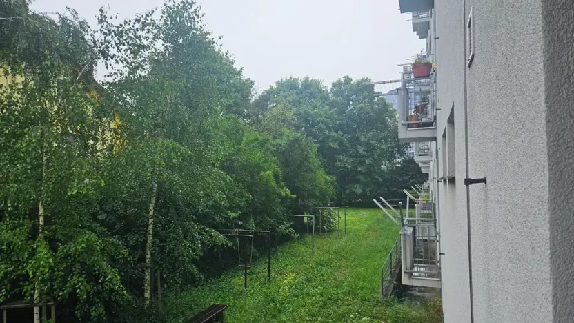 Dražba bytu 2+1, Brno, Veveří, 45 m2