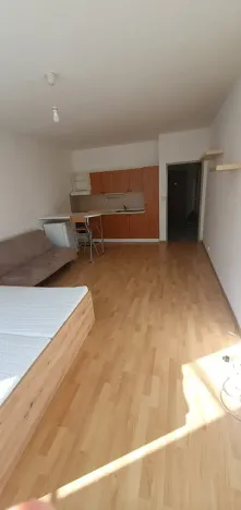 Pronájem bytu 1+kk, Liberec, Jeronýmova, 36 m2