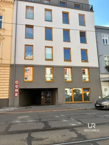 Pronájem ostatní, Brno - Staré Brno, Hybešova