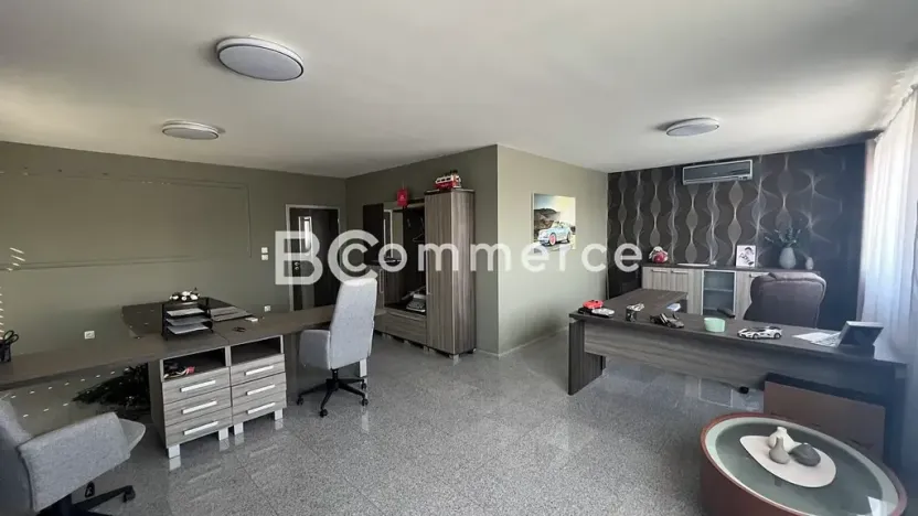Pronájem komerčního pozemku, Pohořelice, 3700 m2