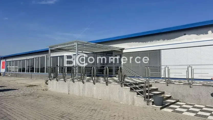 Pronájem obchodního prostoru, Pohořelice, 3700 m2