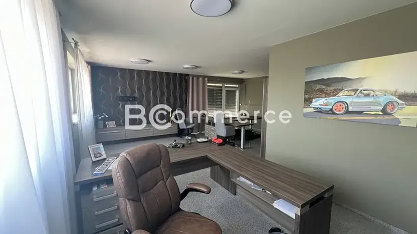 Pronájem obchodního prostoru, Pohořelice, 3700 m2
