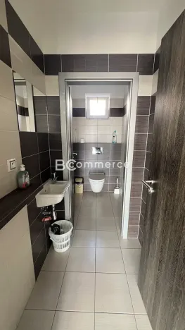 Pronájem obchodního prostoru, Pohořelice, 3700 m2