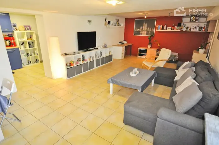 Pronájem bytu 2+kk, Lešná, 120 m2