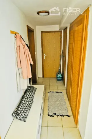 Pronájem bytu 2+kk, Lešná, 120 m2