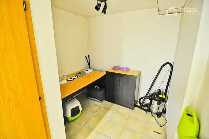 Pronájem bytu 2+kk, Lešná, 120 m2