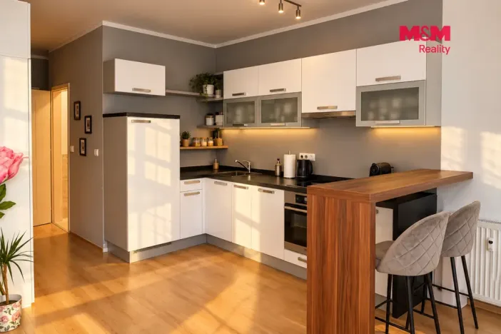 Pronájem bytu 1+kk, Kladno, Moskevská, 34 m2