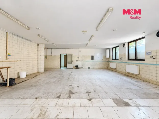 Pronájem výrobních prostor, Neratovice, Mánesova, 235 m2