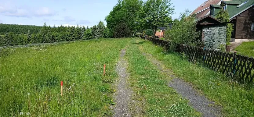 Prodej louky, Osek, 1013 m2