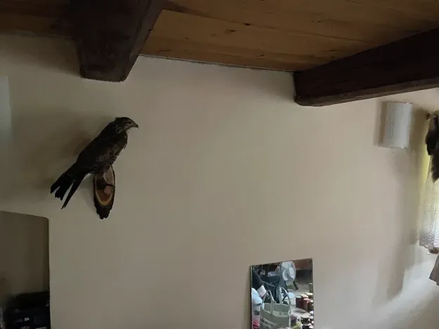 Dražba rodinného domu, Mladkov, 63 m2