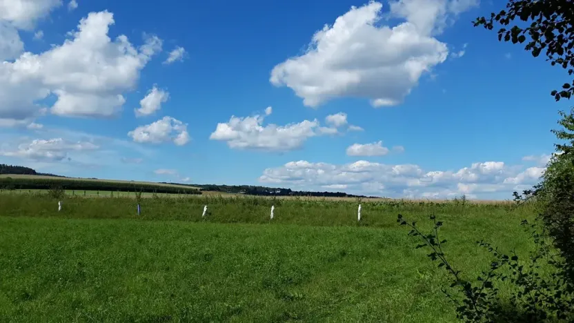 Prodej pozemku pro bydlení, Líšnice, 5077 m2