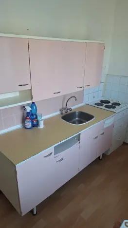 Pronájem bytu 2+1, Praha - Žižkov, Pod lipami, 55 m2