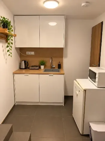 Prodej bytu 1+kk, Brno, Letní, 20 m2