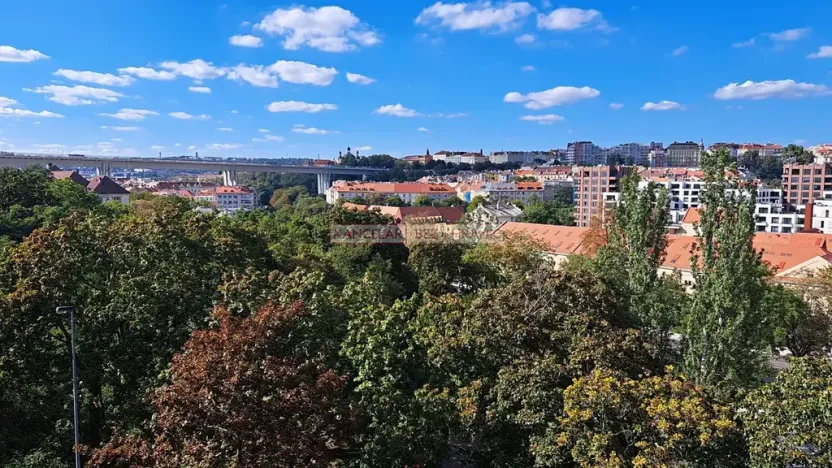Pronájem bytu 1+kk, Praha - Nusle, Boleslavova, 35 m2