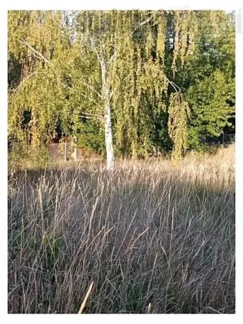 Prodej pozemku pro bydlení, Černošice, 1014 m2