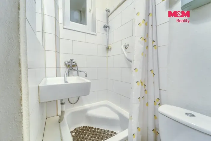 Prodej bytu 1+kk, Plzeň - Lobzy, Rokycanská, 30 m2