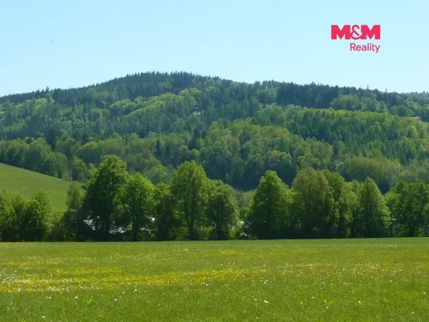 Prodej louky, Vysoká Srbská, 26090 m2
