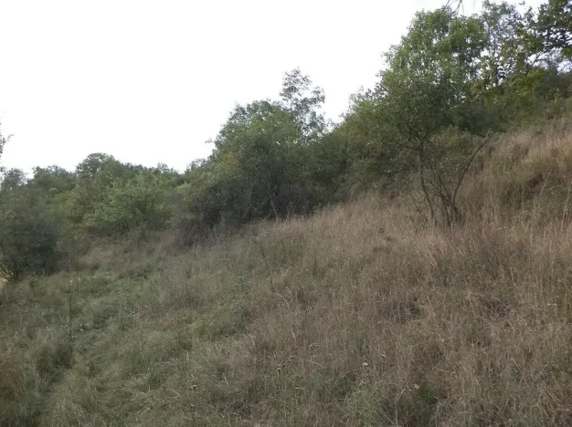 Prodej pole, Řehlovice - Stadice, 22441 m2