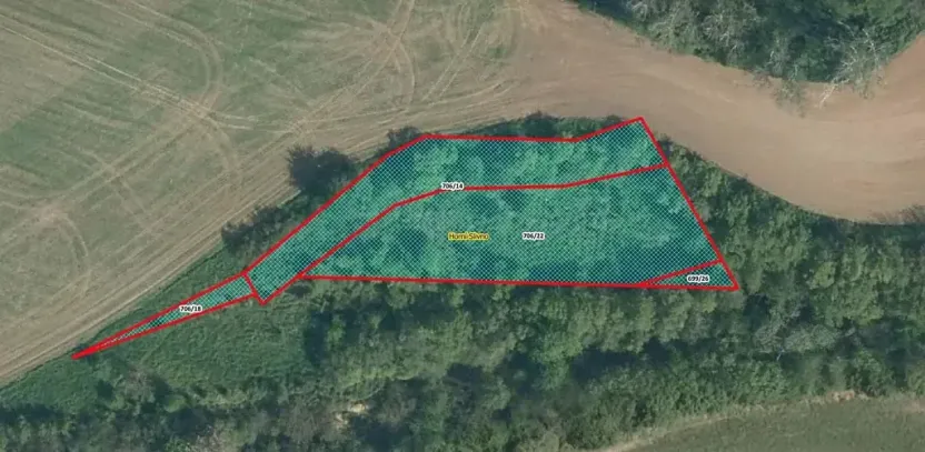 Prodej louky, Horní Slivno, 1353 m2