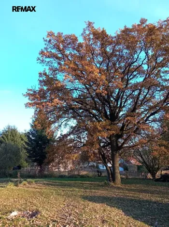 Prodej pozemku pro bydlení, Blažejovice, 3609 m2