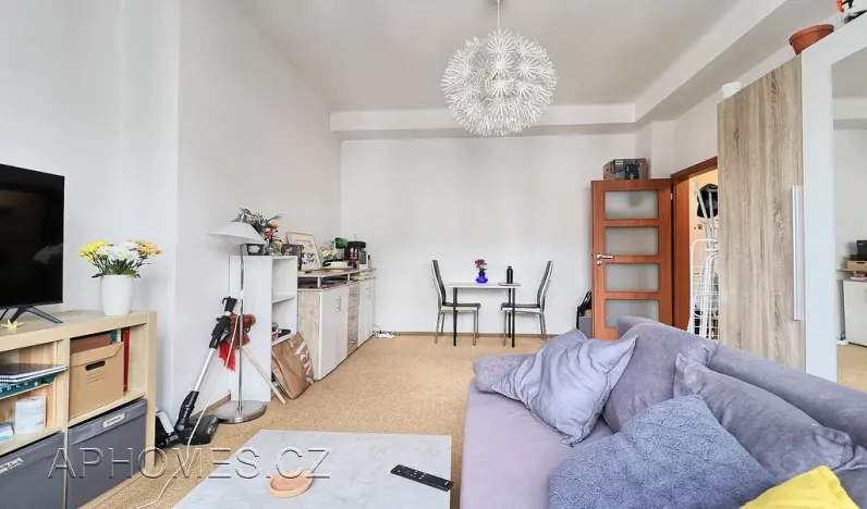 Pronájem bytu 2+1, Praha - Karlín, Thámova, 49 m2