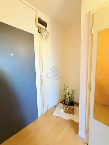 Prodej bytu 1+kk, Brno, Okrouhlá, 32 m2