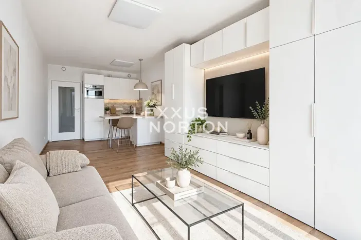 Prodej bytu 1+kk, Praha - Smíchov, Holečkova, 30 m2