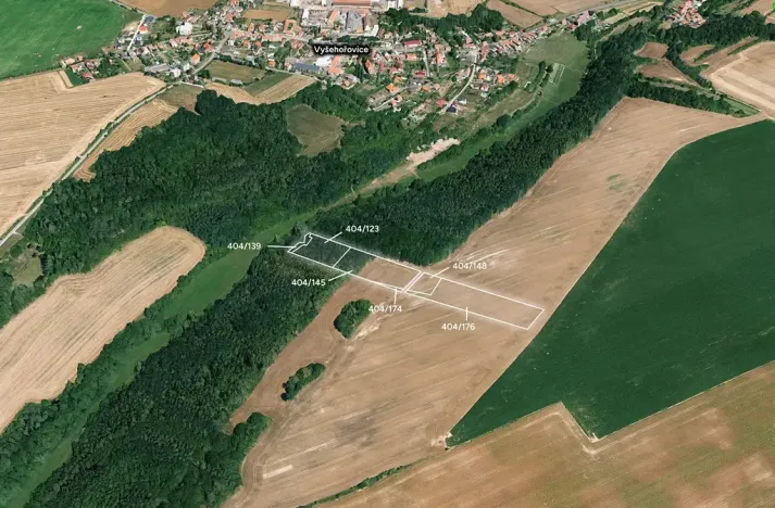 Prodej lesa, Vyšehořovice, 19741 m2