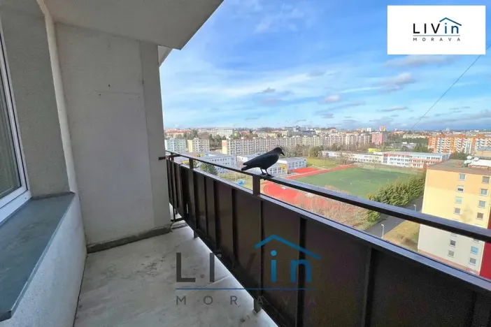 Pronájem bytu 3+1, Olomouc, Lužická, 72 m2