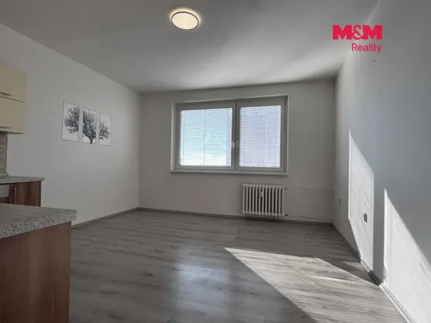 Pronájem bytu 2+kk, Ústí nad Labem, Šrámkova, 40 m2
