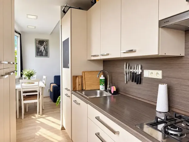 Prodej bytu 3+kk, Pardubice, Nová, 58 m2