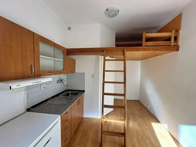 Pronájem bytu 1+kk, Praha - Břevnov, Bělohorská, 13 m2