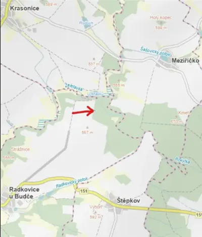 Prodej lesa, Radkovice u Budče, 204 m2