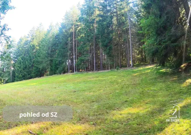Prodej pozemku, Přední Výtoň, Frýdava, 2152 m2