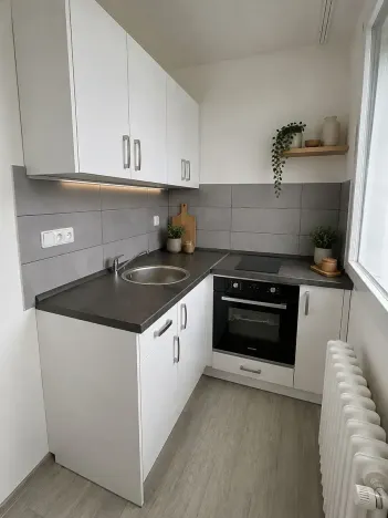 Pronájem bytu 1+kk, Litvínov, Studentská, 32 m2