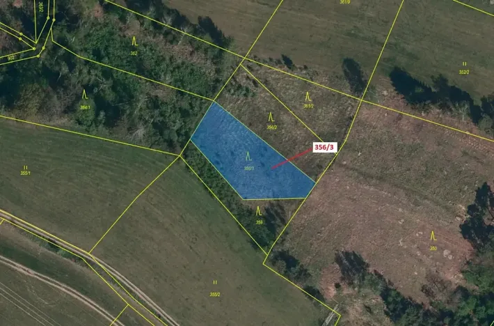 Dražba lesa, Velké Meziříčí, 1312 m2