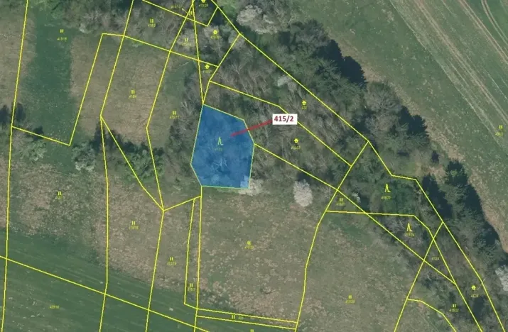 Dražba lesa, Psárov, 1251 m2