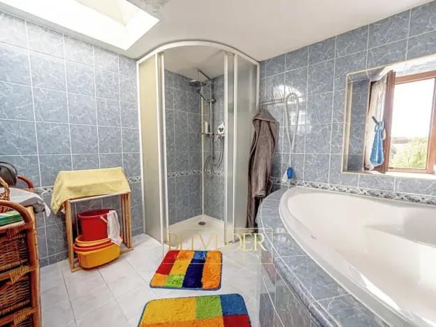 Prodej vícegeneračního domu, Teplice, Doubravská, 430 m2