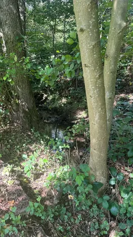 Prodej ubytování, Bílé Poličany, 1000 m2