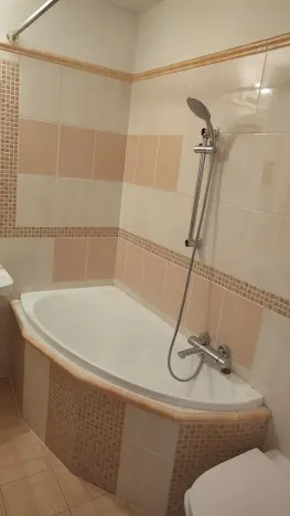 Pronájem bytu 3+kk, Frýdek-Místek, Ostravská, 69 m2