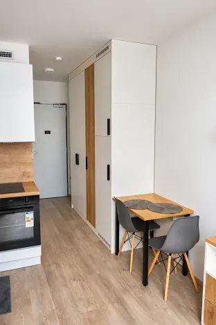 Pronájem bytu 1+kk, Praha - Smíchov, Plzeňská, 20 m2