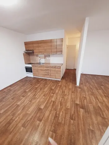 Pronájem bytu 2+kk, Litoměřice, Revoluční, 42 m2