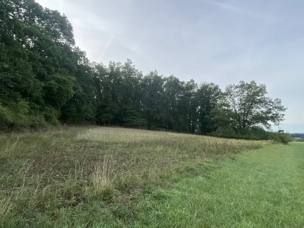 Prodej louky, Ostřetín - Vysoká u Holic, 2972 m2
