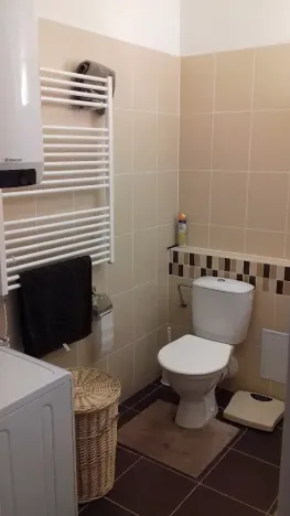 Pronájem bytu 2+kk, Brno, Křehlíkova, 55 m2